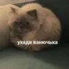 JTXsROJ_by_achestickbot 10