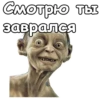ГолрYм :: 5