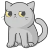 Cat Fullmoon 7