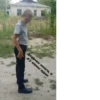 нолик (Created By: ) 5