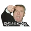 Vladimir 15