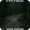 Zufxdka_by_achestickbot 8