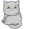 Cat Fullmoon 9