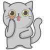Cat Fullmoon 10