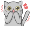 Cat Fullmoon 11