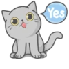 Cat Fullmoon 12