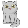 Cat Fullmoon 13