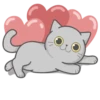 Cat Fullmoon 15
