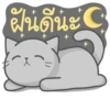 Cat Fullmoon 16