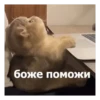 хэппихаYс от KK 19