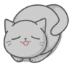 Cat Fullmoon 17