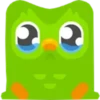 Duolingo Owl 7
