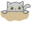 Cat Fullmoon 21