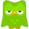Duolingo Owl 8