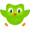 Duolingo Owl 9