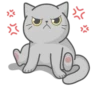 Cat Fullmoon 23