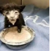 Set_253_by_makestick3_bot 20