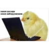 хэппихаYс от KK 29