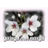 хэппихаYс от KK 30