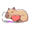 capibara 2 5