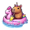 capibara 2 7
