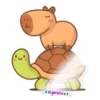 capibara 2 8