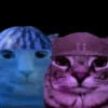 Zazu cat 5