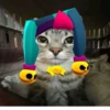 Zazu cat 7
