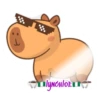 capibara 2 10
