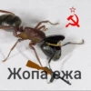 ЧертRта от 5