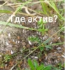 ЧертRта от 6