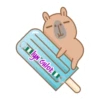 capibara 2 13