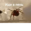 ЧертRта от 9