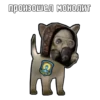 S.T.A.L.K.E.R. Universe 4 By 12