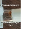 ЧертRта от 10