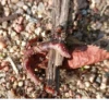 ЧертRта от 11