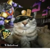 Zazu cat 8