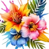 Rosas Hermosas💞1🇵🇪Clásica 8