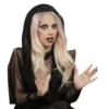 Lady Gaga 14