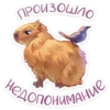 капибYра 12