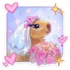 капибYра 13