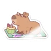 capibara 2 18