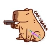 capibara 2 19