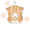 Cute kitties | 13