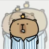 Capybara - Every Day Office 13
