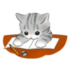 Cute kitties | 15