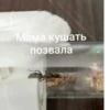ЧертRта от 17