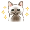 Cute kitties | 16