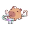 capibara 2 21