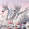 Lindos cisnes 22